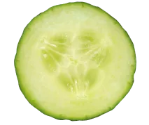 Shape